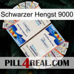 Black Stallion 9000 kamagra1